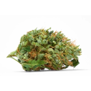 Jet Fuel Gelato x 23,0% THC | Therismos
