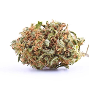 Ghost Train Haze x 25,0% THC | enua Pharma