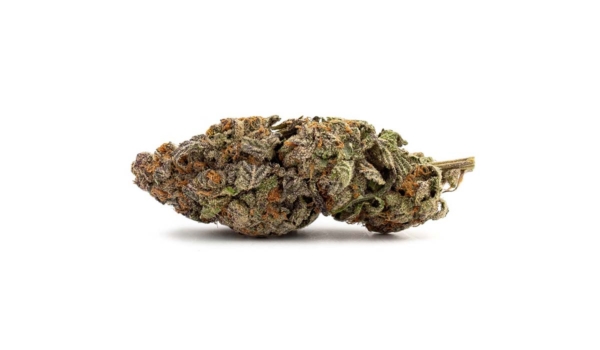Bangerine x 21,0% THC | Remexian Pharma