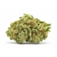Sunset Diesel x 21,0% THC | bavamedical