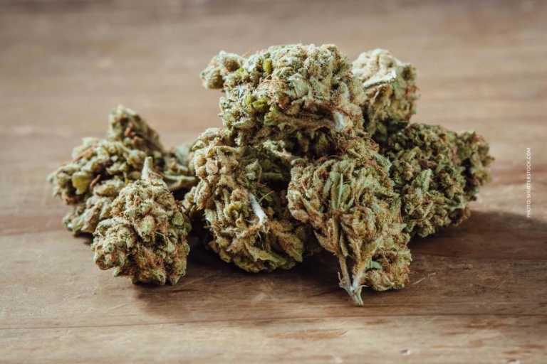 Moonbow × Planet Purple Sorte: Hybrid, THC & kaufen?