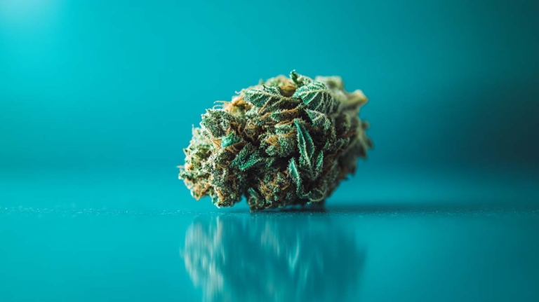Berry White Sorte: THC-Gehalt, Beeren-Aroma & Wirkung
