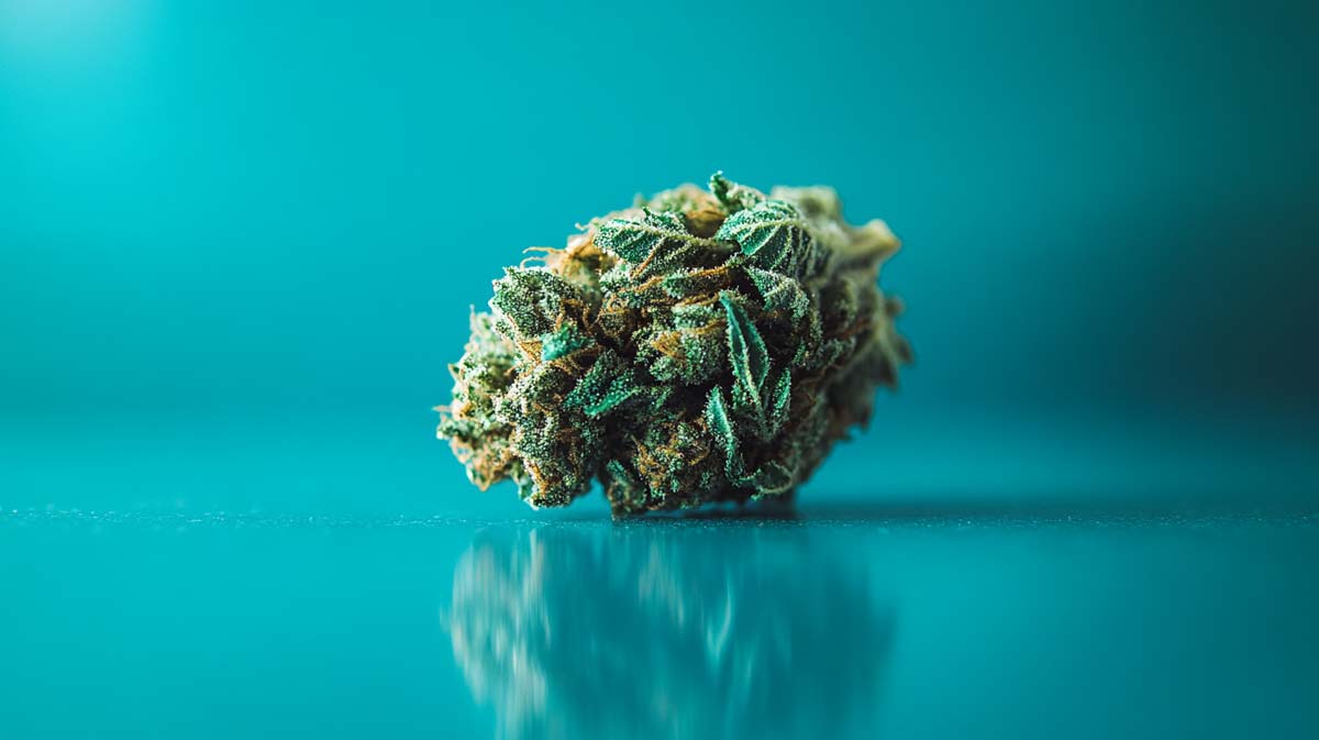 Mango Sorten: Top 16 Strains – Liste, Namen, Wirkung & Herkunft
