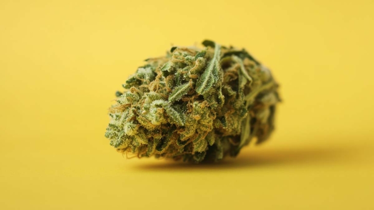Cali Weed Sorten: Namen, Liste & was macht sie so stark?
