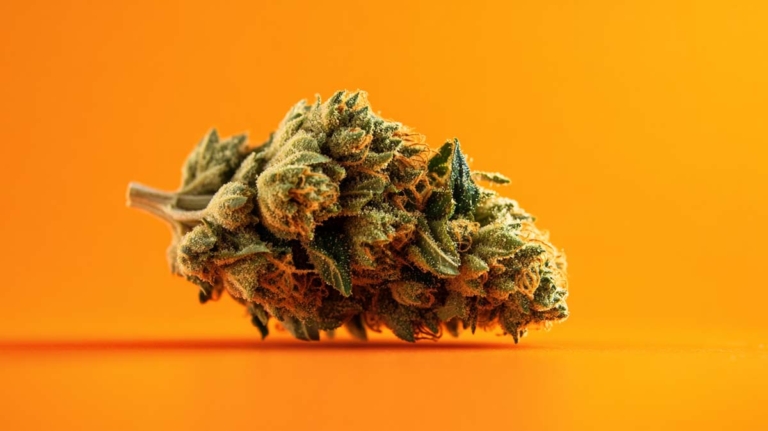 Slurry Sorte: THC, CBD & Effekte