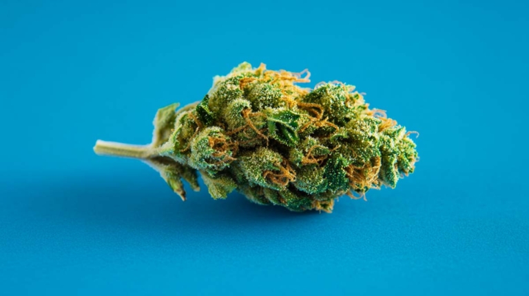 Banana Punch Sorte: THC-Gehalt, Indica-Effekt & Aroma