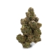 Jean Guy x 22,0% THC | Tilray