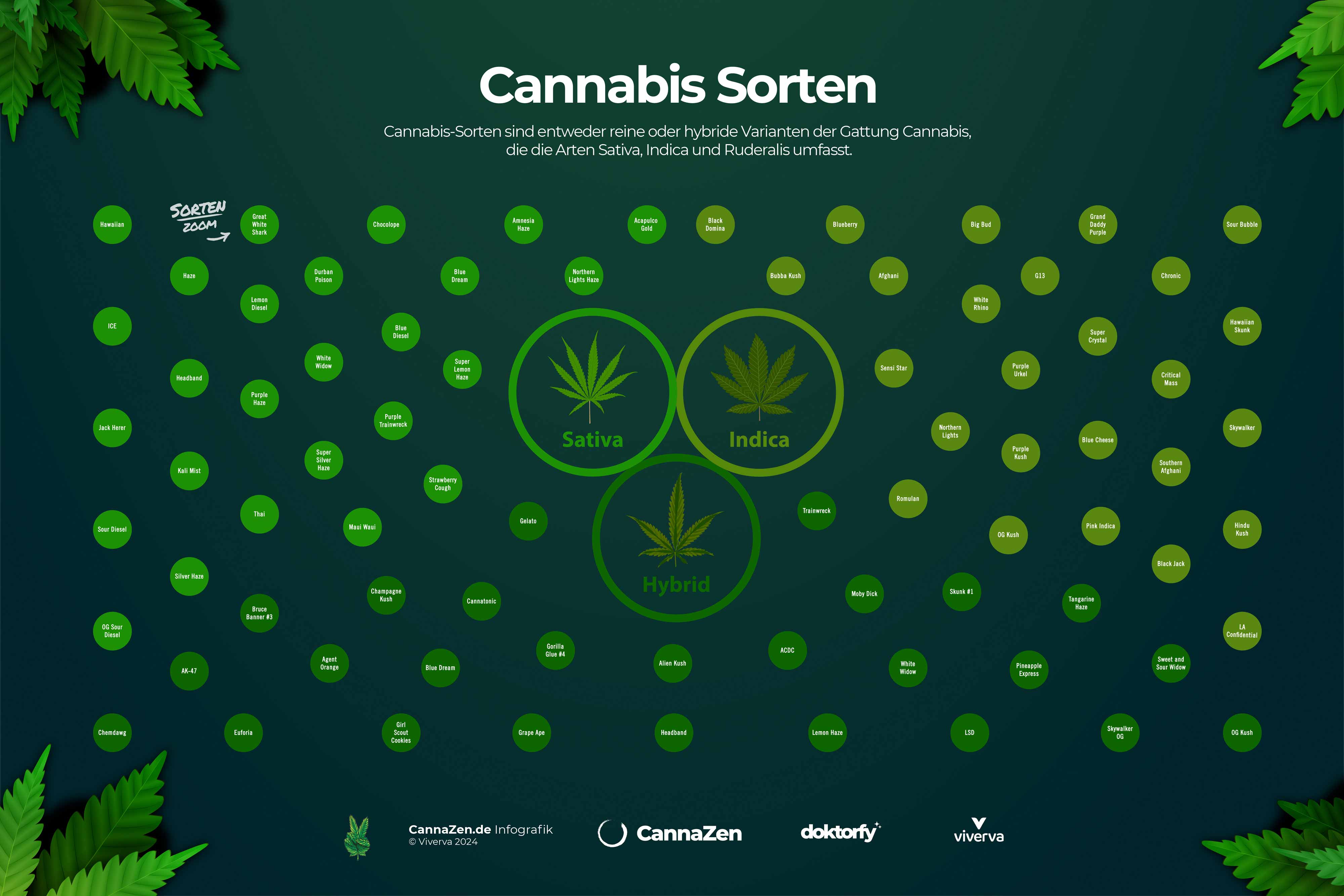 Cannabis Sorte: Infografik, Cannabis, Sorten, Hybrid, Indica