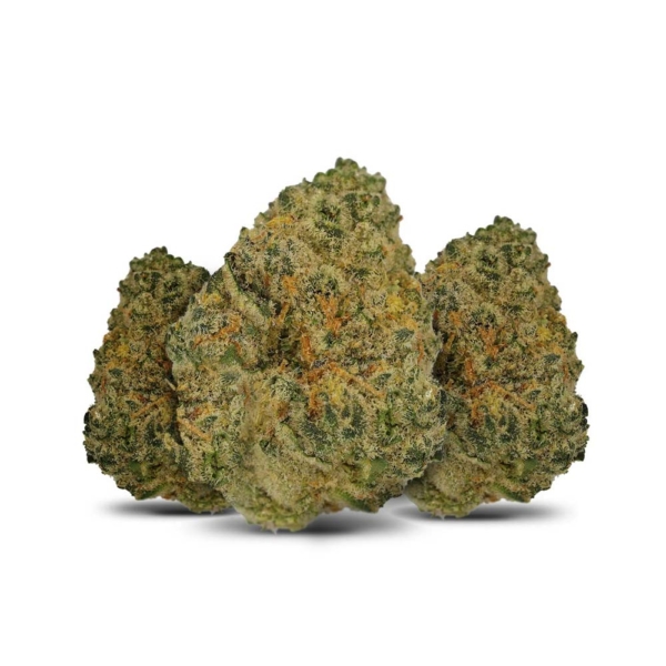 Polar Cookies