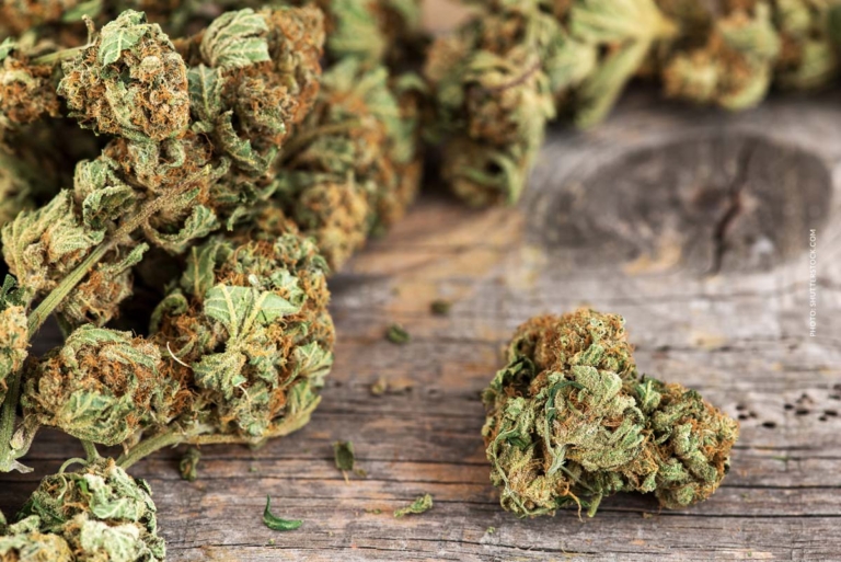 Cannabis Trockenbox: Lagerung, Feuchtigkeitskontrolle, Qualität & Haltbarkeit