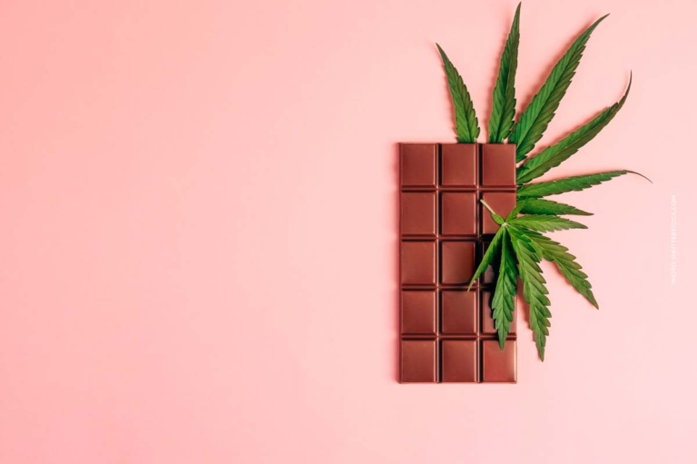 Hanf Schokolade: CBD-Gehalt, Wirkung & selber machen?