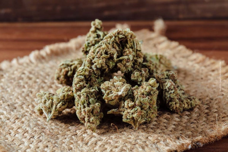 Strawberry Guava Sorte: THC, Geschmack & wie anbauen?