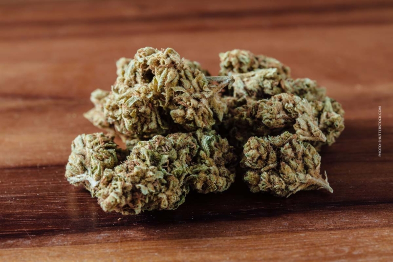 Cannabis Luftfeuchtigkeit: Optimale Bedingungen, Lagerung, Haltbarkeit & Tipps