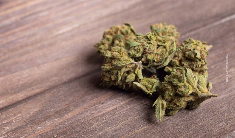 Cannabis lagern: Richtige Lagerung, Qualität, Haltbarkeit & Temperatur