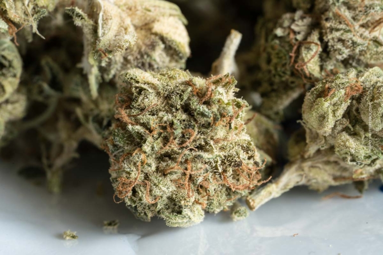 Cannabis im Glas trocknen: Methode, Luftzirkulation, Qualität & Lagerung