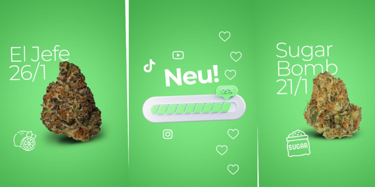 CannaZen Social: Jetzt auch auf Instagram, TikTok, YouTube & Co.