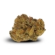 Sour Diesel x 22,0% THC | Tilray