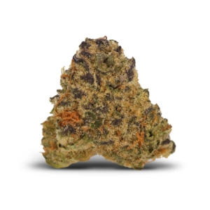 Legendary Larry x 21,0% THC | bavamedical