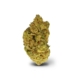 Hindu Kush x 22,0% THC | Canopy Medical