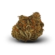 White Widow x 10,0mg THC | Adven