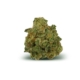 VenomZ Eve x 20,0% THC | Cannamedical