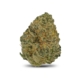 Godberry x 24,0% THC | Cansativa
