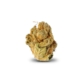 Grapefruit Gift x 16,5% THC | Cannamedical