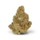 Oreoz x 23,7% THC | MeCann