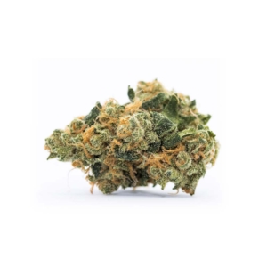 Amsterdam Amnesia x 24,0% THC | Cannamedical