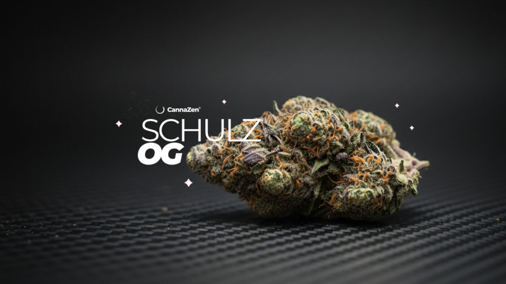 Schulz OG: Sorte, Aroma & THC Gehalt schulz-og-cannabis-sorte-cannazen-hersteller-wirkung-aroma-effekt-thc-cbd-terpene
