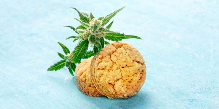 Cannabis Cookie: Rezepte, Wirkung, Anwendung & Genuss