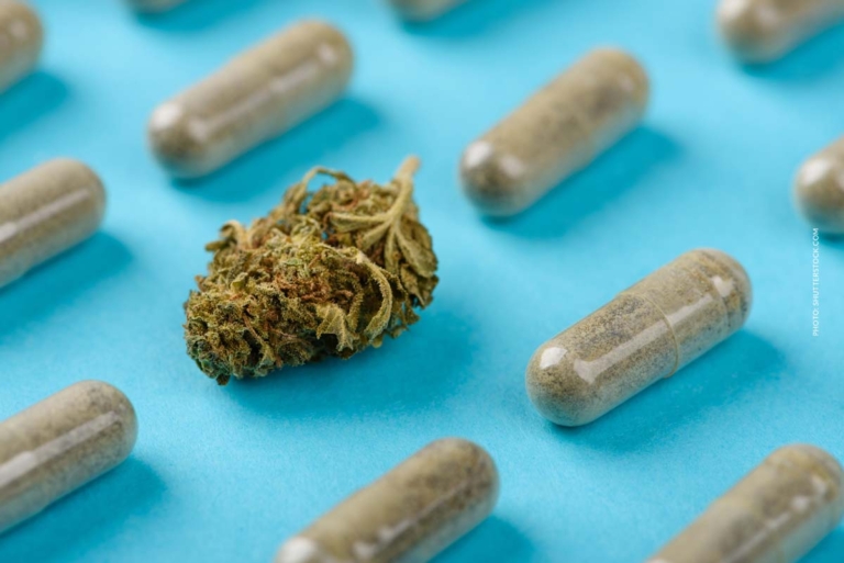 Cannabis Tabletten: Wirkung, Einnahme, Vorteile & Dosierung