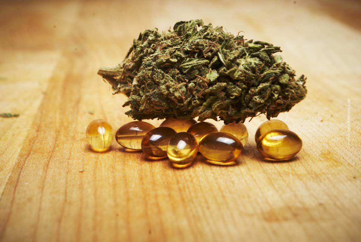Cannabis Kapseln: Vorteile, Dosierung, Anwendung & Sicherheit