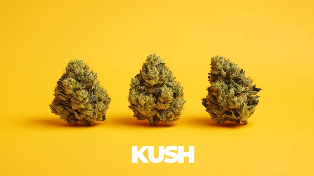 kush-sorten-topliste-namen-wirkung-story-infografik-3-strains-blueten