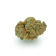 Strawberry Bubbles x 27,0% THC | Remexian Pharma