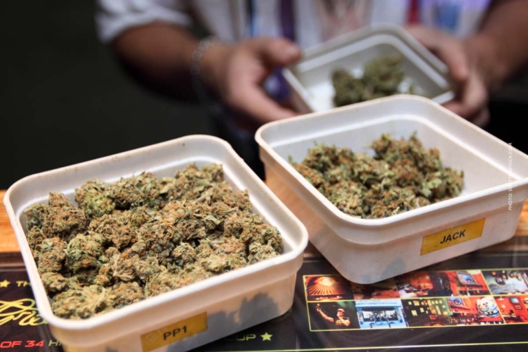 Cannabis Clubs Liste: Alle Städte in Deutschland – Cannabis Karte