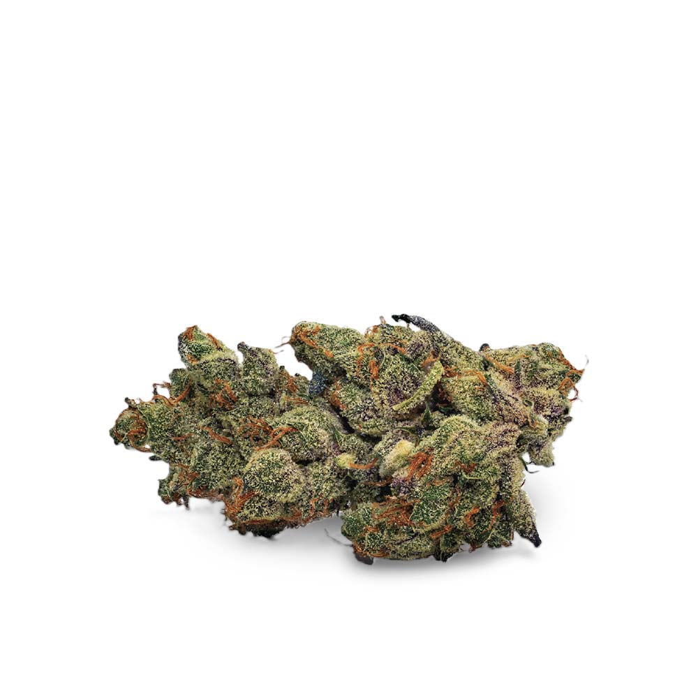 Black Cherry Punch: Sträkste Cannabissorte in Deutschland