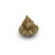 Ghost Train Haze x 20,0% THC | Cannamedical