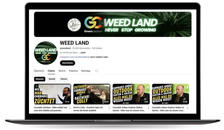 Weed Land x YouTube: Wissen und Menschen