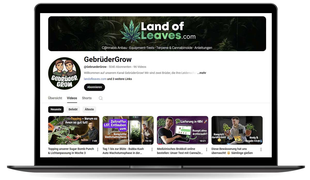 GebrüderGrow x YouTube: Cannabisanbau