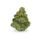 Northern Lights x < 1,0mg THC | Stada