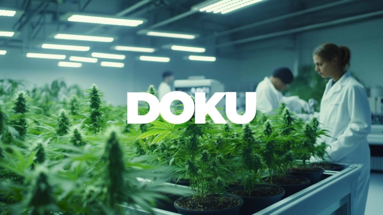 Cannabis Gedächtnisverlust: Dauerhaft oder reversibel?