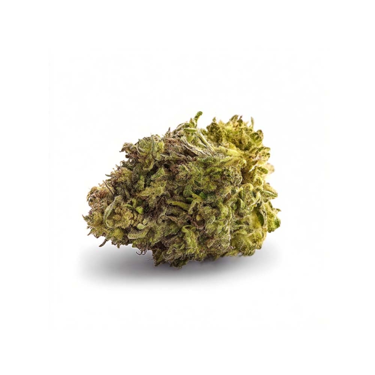 Sam the Skunkman: Skunk #1, Sensi Seeds & die Legende