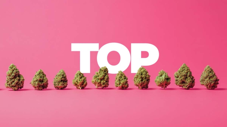 Top 10 Cannabis Sorten: Stärkste bis 30% THC – Liste der beliebtesten Strains