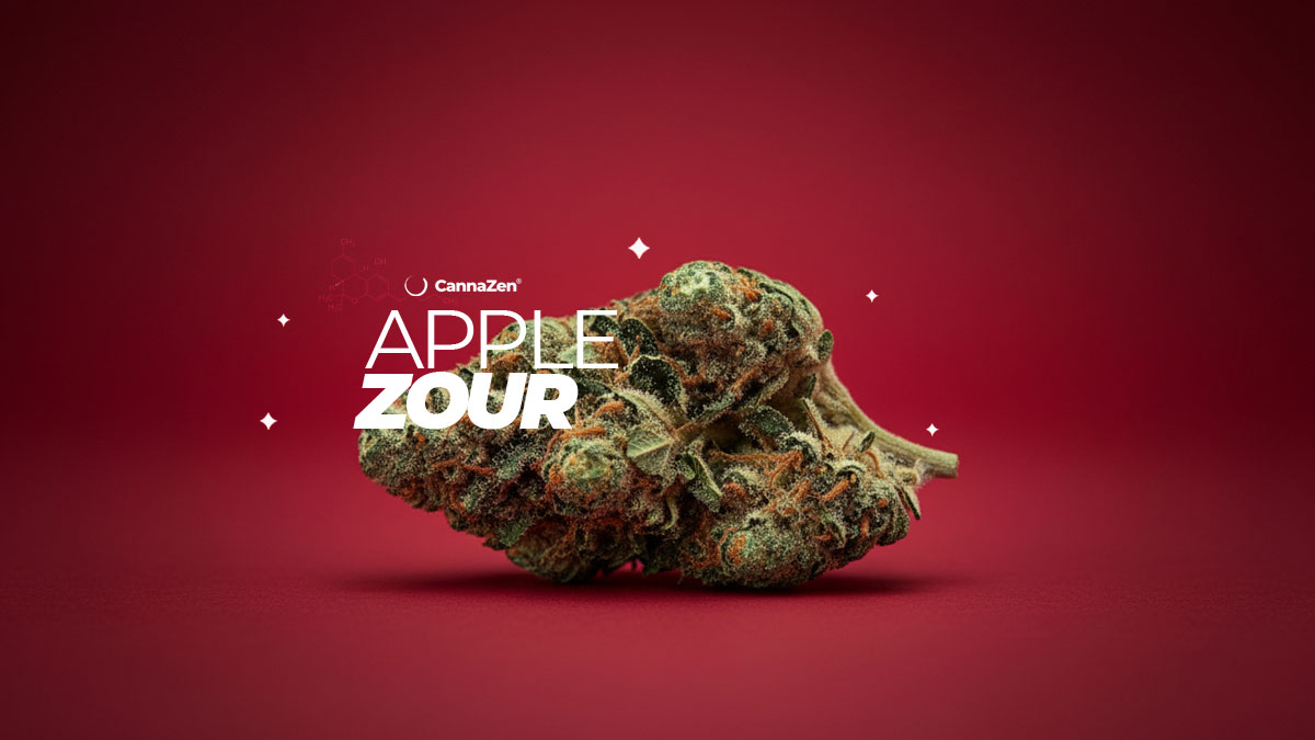 CannaZen Zour: 17% THC “Komplex, fruchtig, würzig”, jetzt neu!
