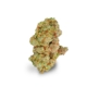 Face Off OG x 27,0% THC | IMC