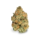 Dank Sinatra x 23,0% THC | Bathera