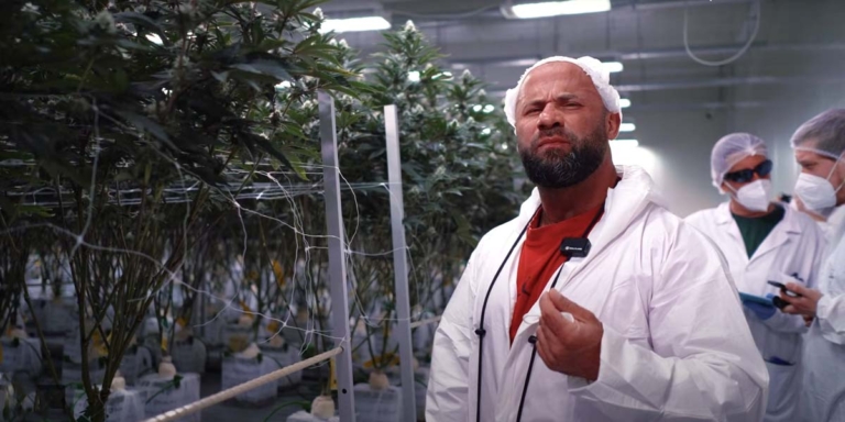 THC Nachweisbarkeit: Wie lange im Blut, Urin & Haar?