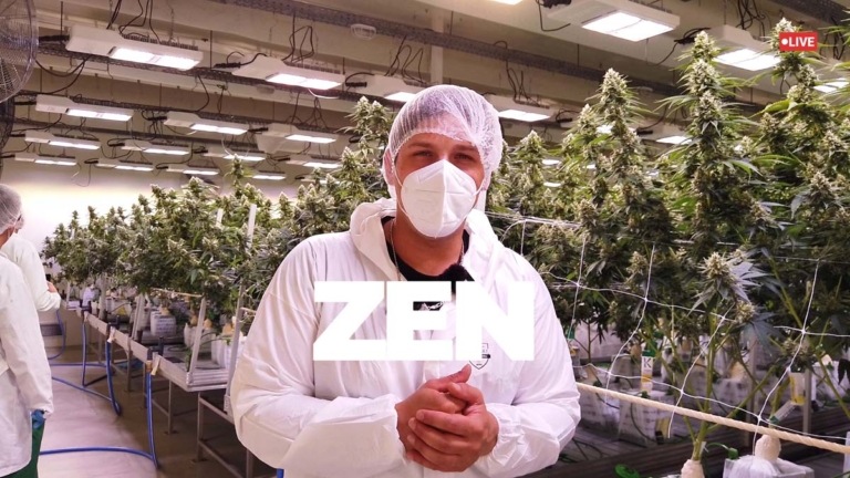 Cannabis Portugal: legal, Anbau & Import nach Europa?