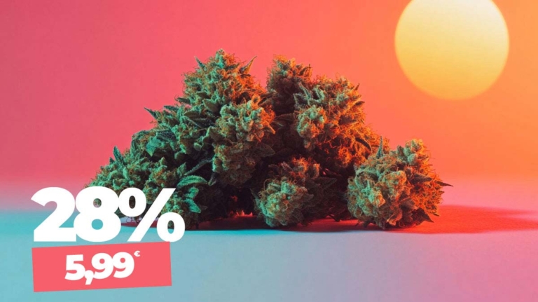 CBD Blüten legal kaufen: Worauf achten & wo bestellen?